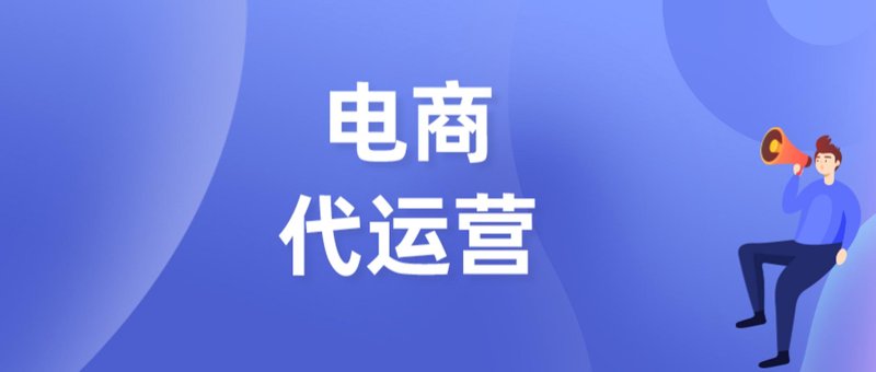 电商市场的风云变幻与上海电子商务公司的崛起